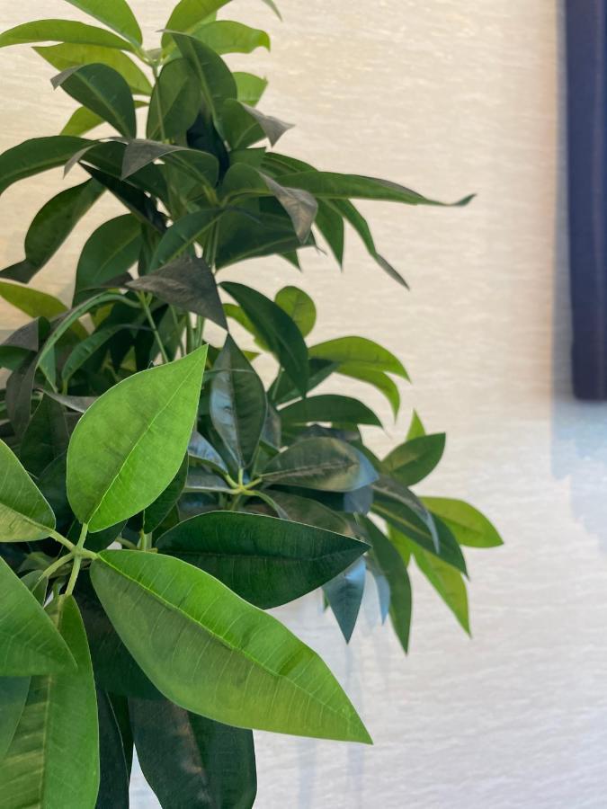 Niseko Hotel Kiraku Kou Εξωτερικό φωτογραφία